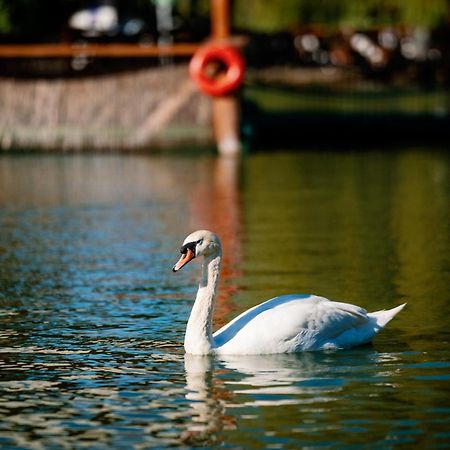 Montana Garden Hotel Răşinari Kültér fotó